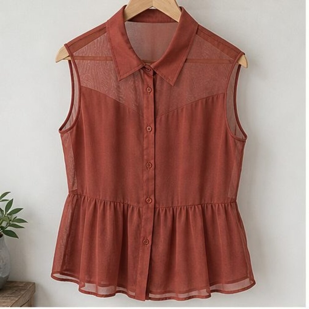 Rust Tie Neck Blouse